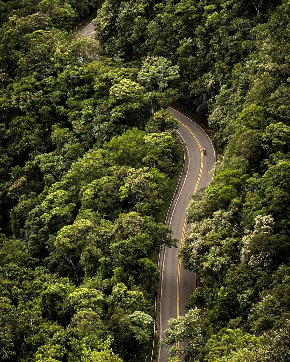 Estrada sinuosa no meio da mata atlântica, na serra do estado de São Paulo